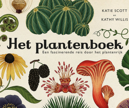 Het plantenboek fragment